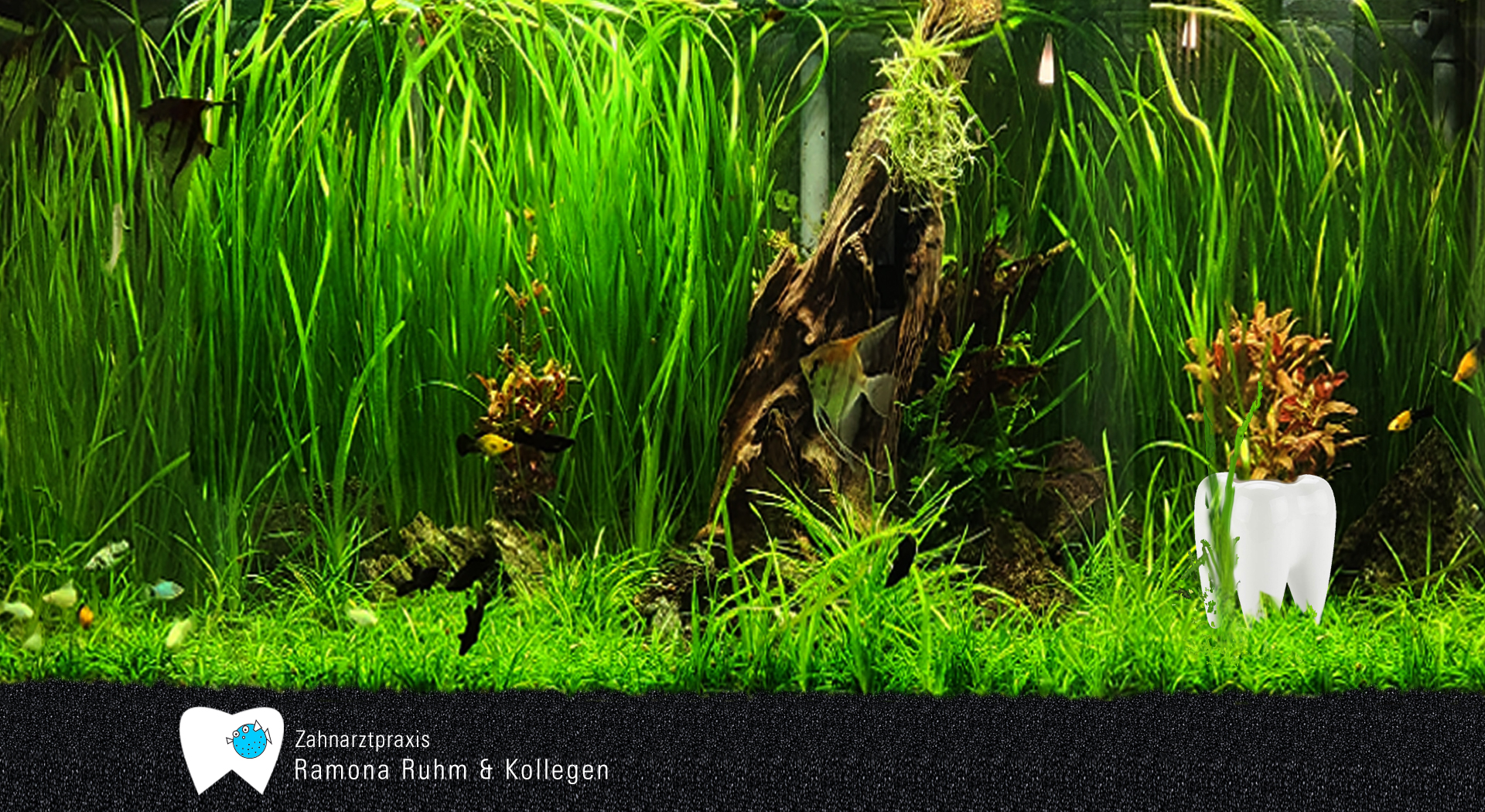 Aquarium Ramona Ruhm